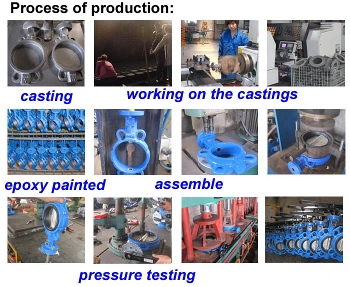 Carbon Steel Lug Butterfly Valve with Gearbox DN200 Soft Seat