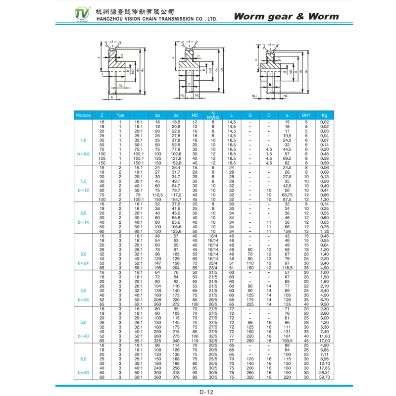 High Precision Carbon Steel Worm Gear in Pairs