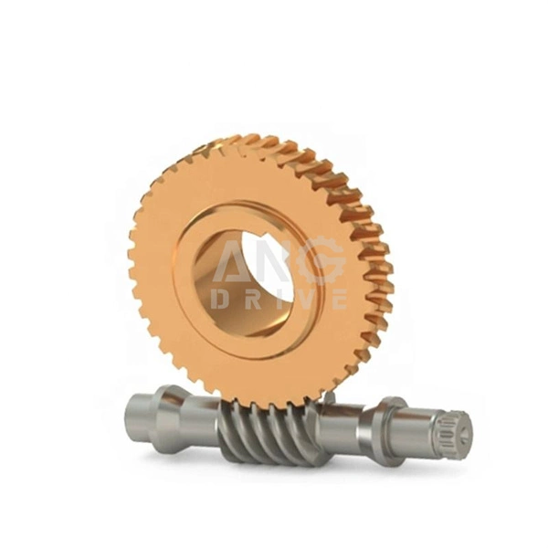 Brass Bronze Copper Customized Cast Metal Steel Worm Shaft Wheel Transmission Gear for Reducer Gearbox