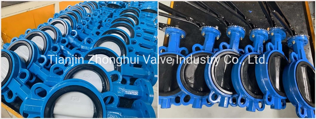 Wafer Type Butterfly Valve D371X Worm Gear Actuator