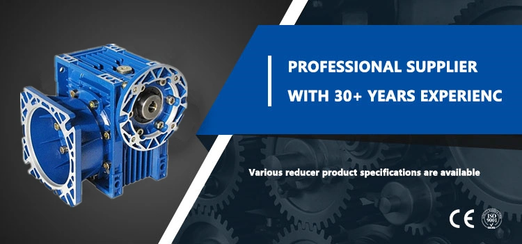 China 25: 1 Ratio RV050 Speed Reducer Ratio: 1: 40 Worm Gearbox for Industrial Equipment