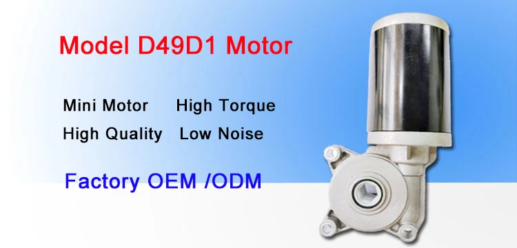 24V 25W DC Worm Gear Motor High Torque Reduction Gearbox