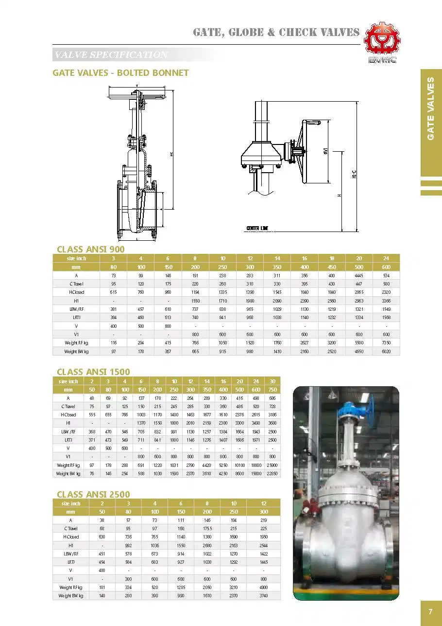 ANSI/API/ASTM/ASME/Wcb Flange Cast Steel Bevel Gear Operated Gate Valve