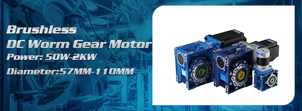 Beudmke Factory Supply Custom 24V 1000W 600W 1: 100 20 Rpm 40nm DC Worm Drive Gearbox with Electric Motor Gearbox