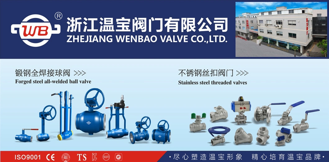 OEM DN15-DN800 Worm Gear Driven Stainless Steel/Forged Pipe Ball Valve Full Bore (FB) Fully Welded Ball Valve