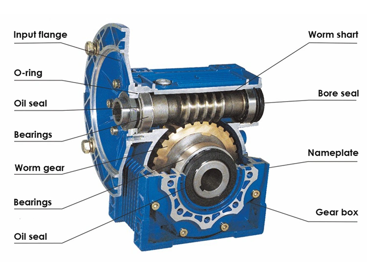 Drv Worm Gear Motor Double Worm Gear