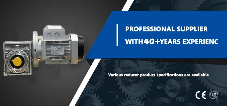 RV Series Small Worm Gear Reducer Gearbox