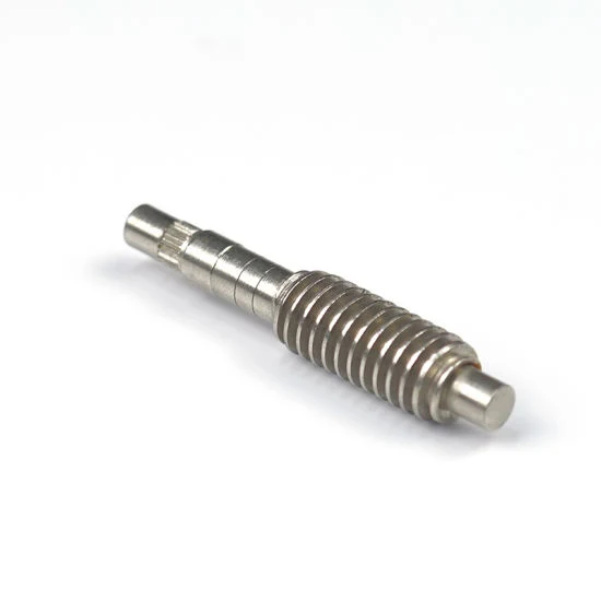 OEM High Precision Stainless Steel Transmission Worm Gear Shafts