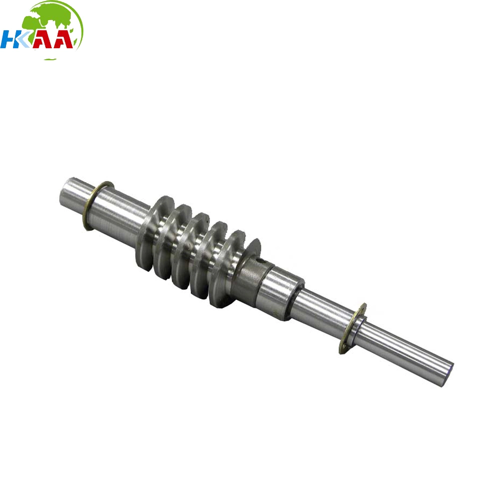 OEM High Precision Stainless Steel Transmission Worm Gear Shafts