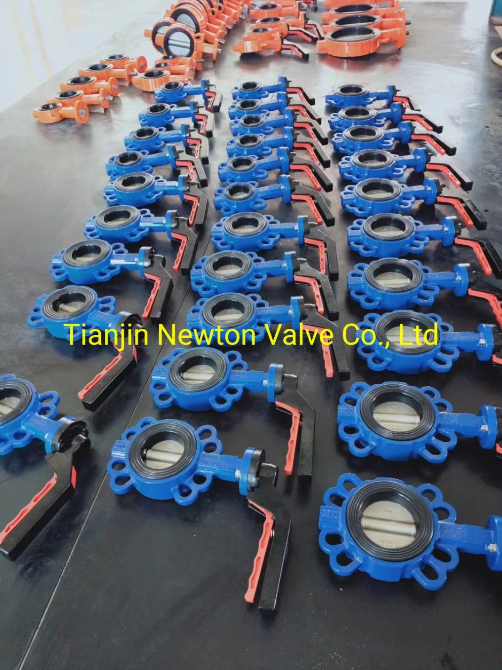 Ductile Cast Iron Carbon Steel Aluminium Alloy Al Bronze Duplex Stainless Steel Ggg40/50 Wcb A216 SS304 SS316 CF8 CF8m CF3 CF3m C954 ADC12 Butterfly Valve