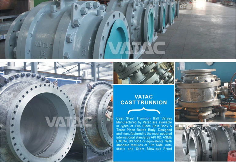 Forged Stainless Steel F304, F316, F304L, F316L Trunnion Ball Valve C/W Warm Gear/Pneumatic Actuator