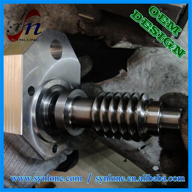 OEM Customized Stainless Steel Worm Wheel/Worm Shaft