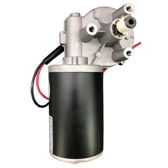 DC 24V 3rpm Worm Gear Motor 45mm Reversible High Torque Speed Reduce Turbine Electric Gearbox Motor Shaft