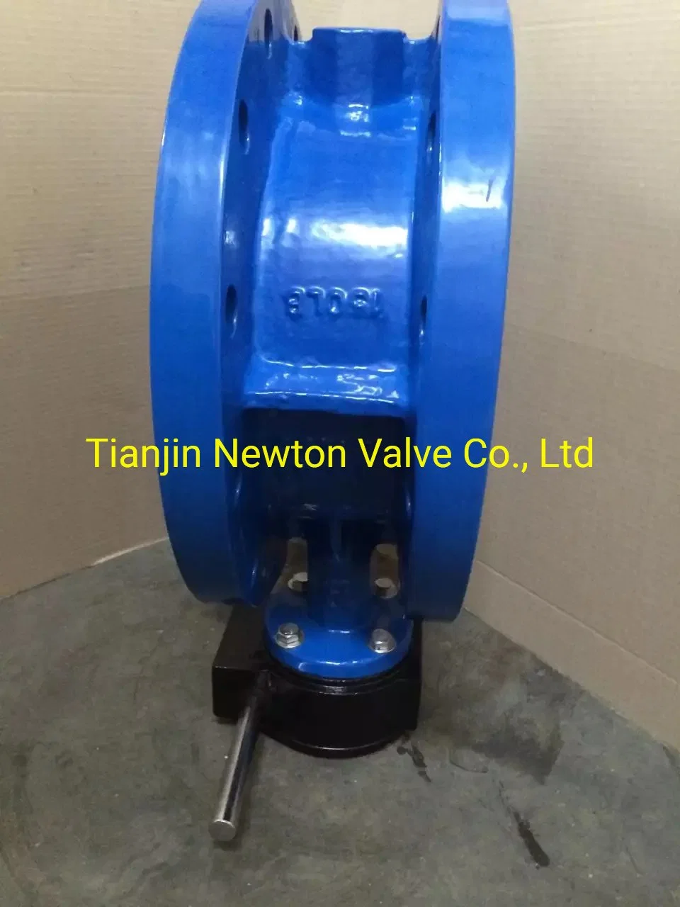 Ductile Cast Iron Carbon Steel Aluminium Alloy Al Bronze Duplex Stainless Steel Ggg40/50 Wcb A216 SS304 SS316 CF8 CF8m CF3 CF3m C954 ADC12 Butterfly Valve