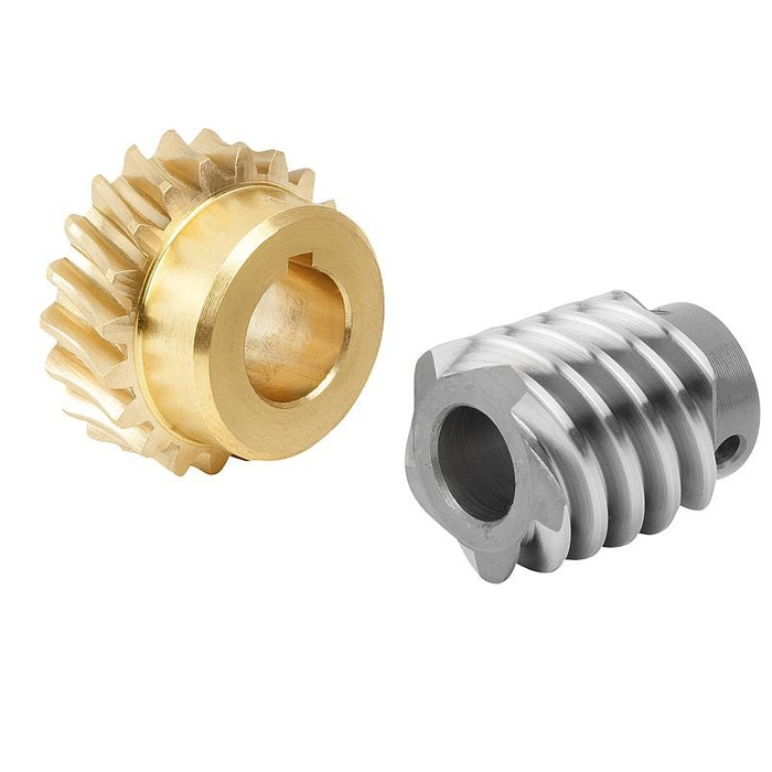 Ts16949 Standard Custom Design Worm Gear Set, Worm Wheel and Worm Gear Shaft