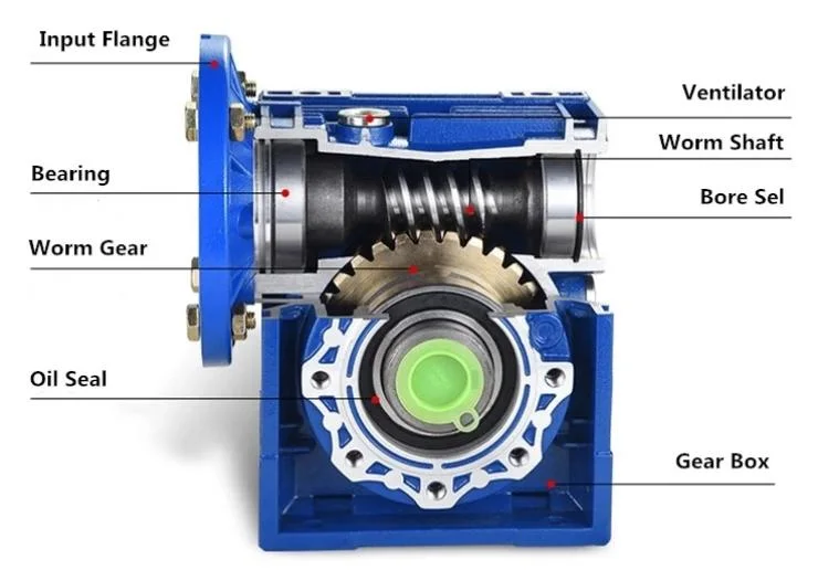 0.06kw~15kw 25: 1 Ratio RV 030 50 Vertical Shaft 90 Degree Brushless DC Motor RV Small Reducer Worm Gearboxes for Screw Conveyor