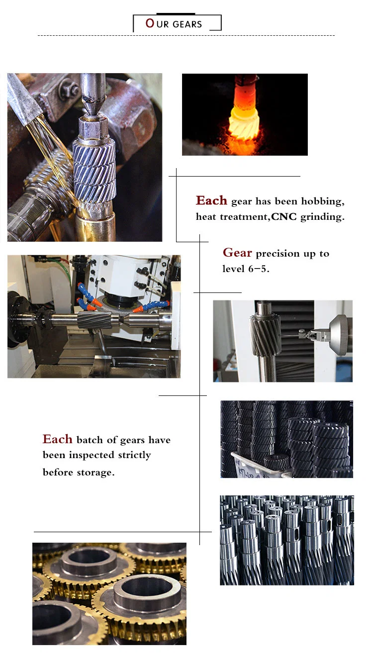 Transmission Worm Gear Series Double Enveloping Worm Gear and Shaft