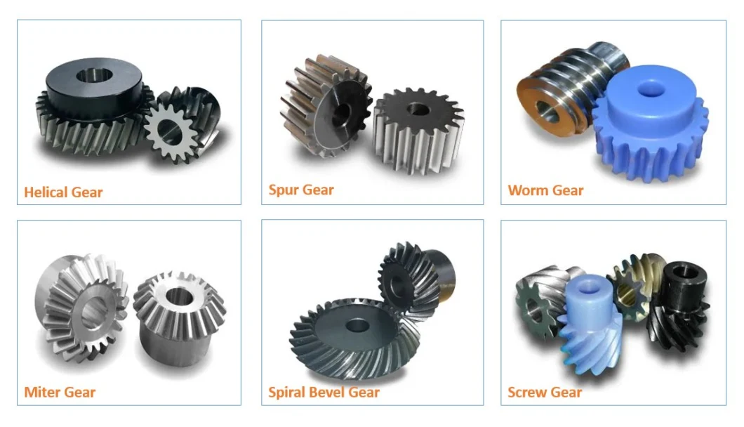 Custom Worm Gear Curved Hard Tooth Surface Stainless Steel Worm Gear