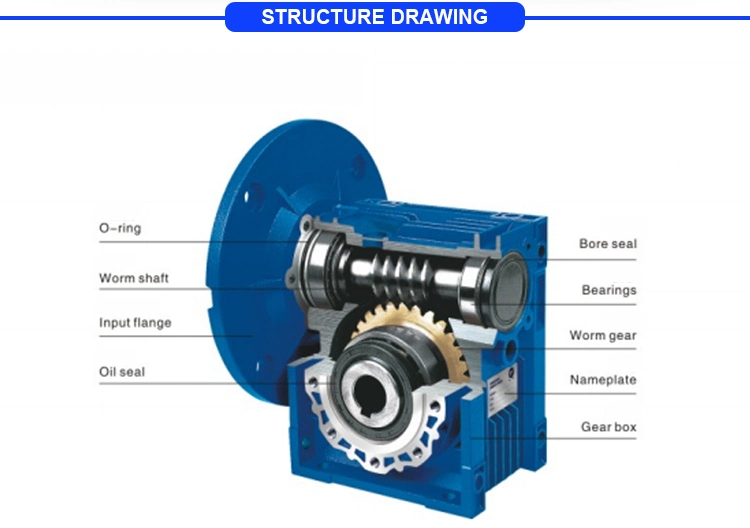 High Quality High Torque Nmrv063 Worm Transmission Gearbox Speed Reducer Gear Box with Input Shaft