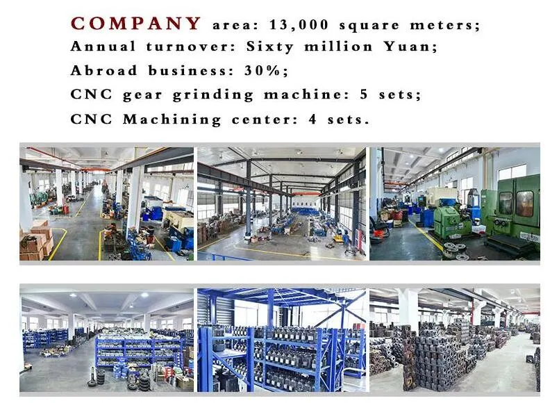 Transmission Worm Gear Series Double Enveloping Worm Gear and Shaft