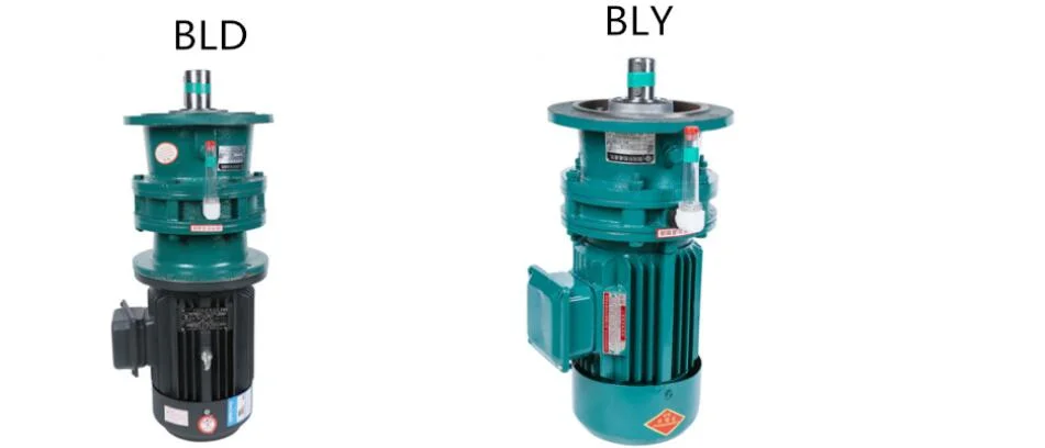 China Manufacturer Double Stage Bwed Bley Xled Xwey Series Cycloid Reducing Gearbox with AC Motor