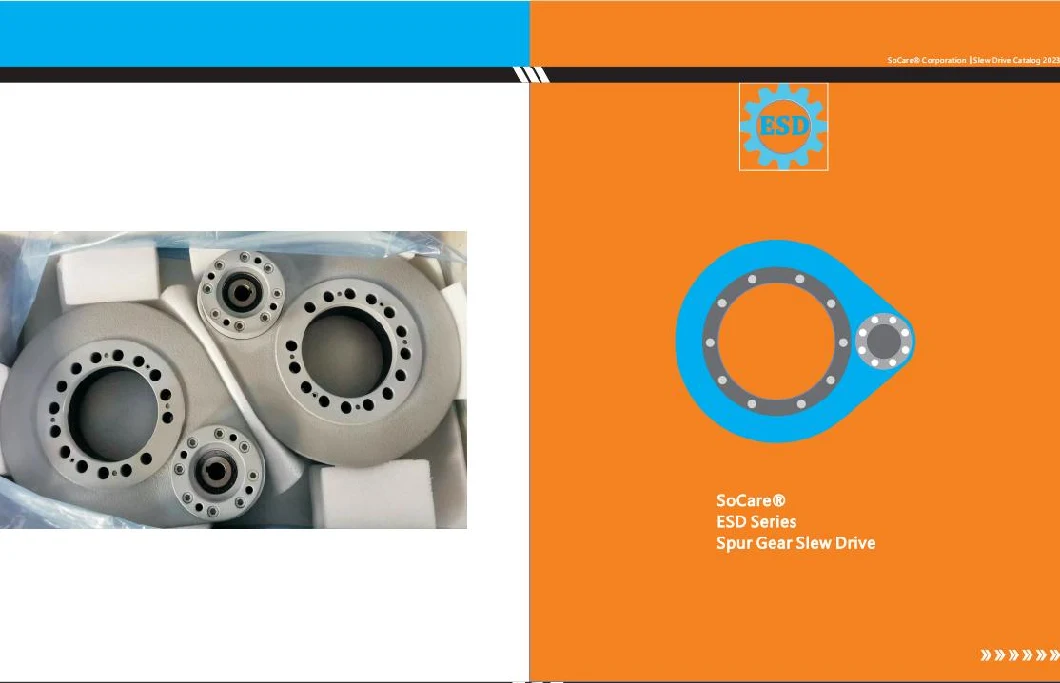 Professional Slewing Bearing Yaw Bearing Slewing Drives Worm Drive