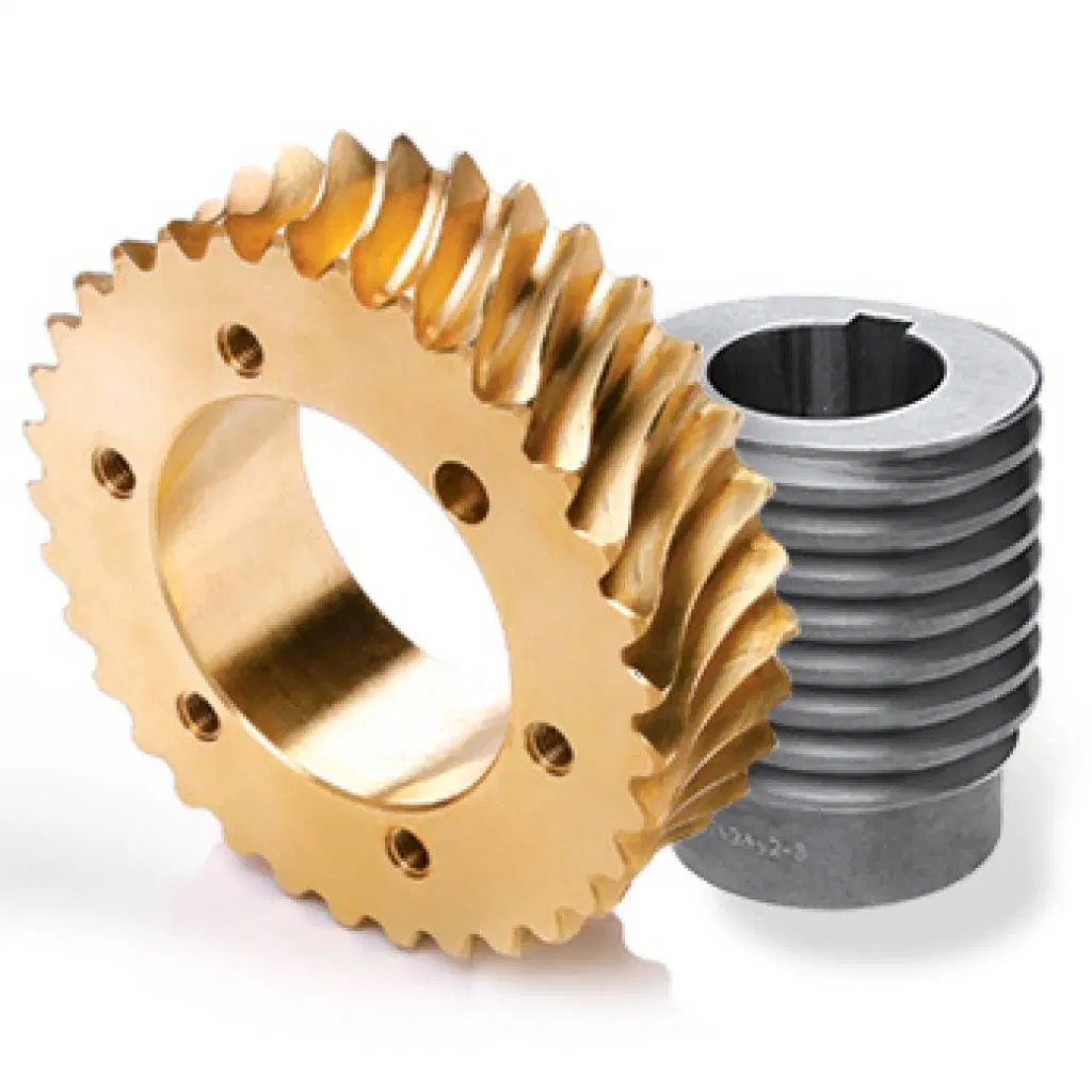 Precision Anti-Backlash Stainless Steel Worm Gear and Bronze Worms