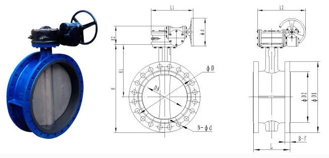 Worm Gear Box Operated Ductile Iron Flanged Soft Seal Butterfly Valve (GALD373W)