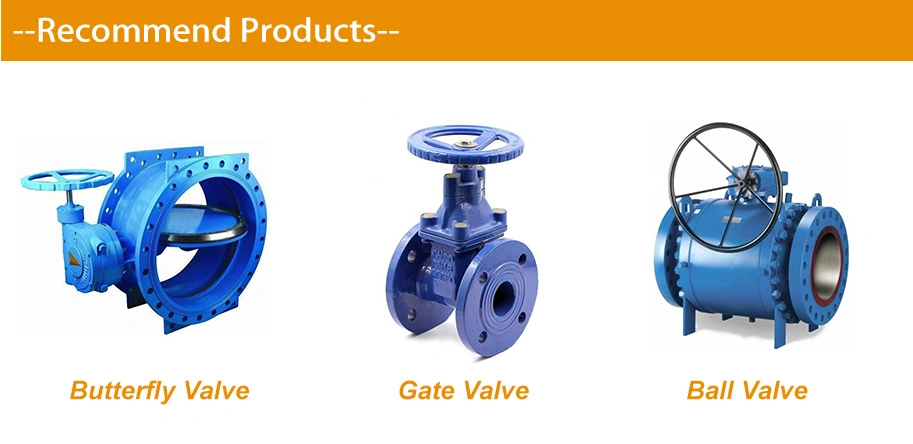 ANSI DIN Ductile Iron Sure Seal EPDM Seat Double Offset Flanged Type Gear Operated Industrial Butterfly Valve Gate Valve Check Valve for Water Use