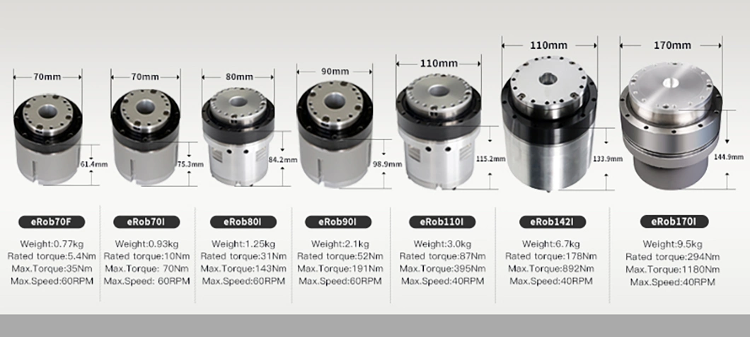 Robot Hollow Shaft Servo Motor for Ant Automation Equipment
