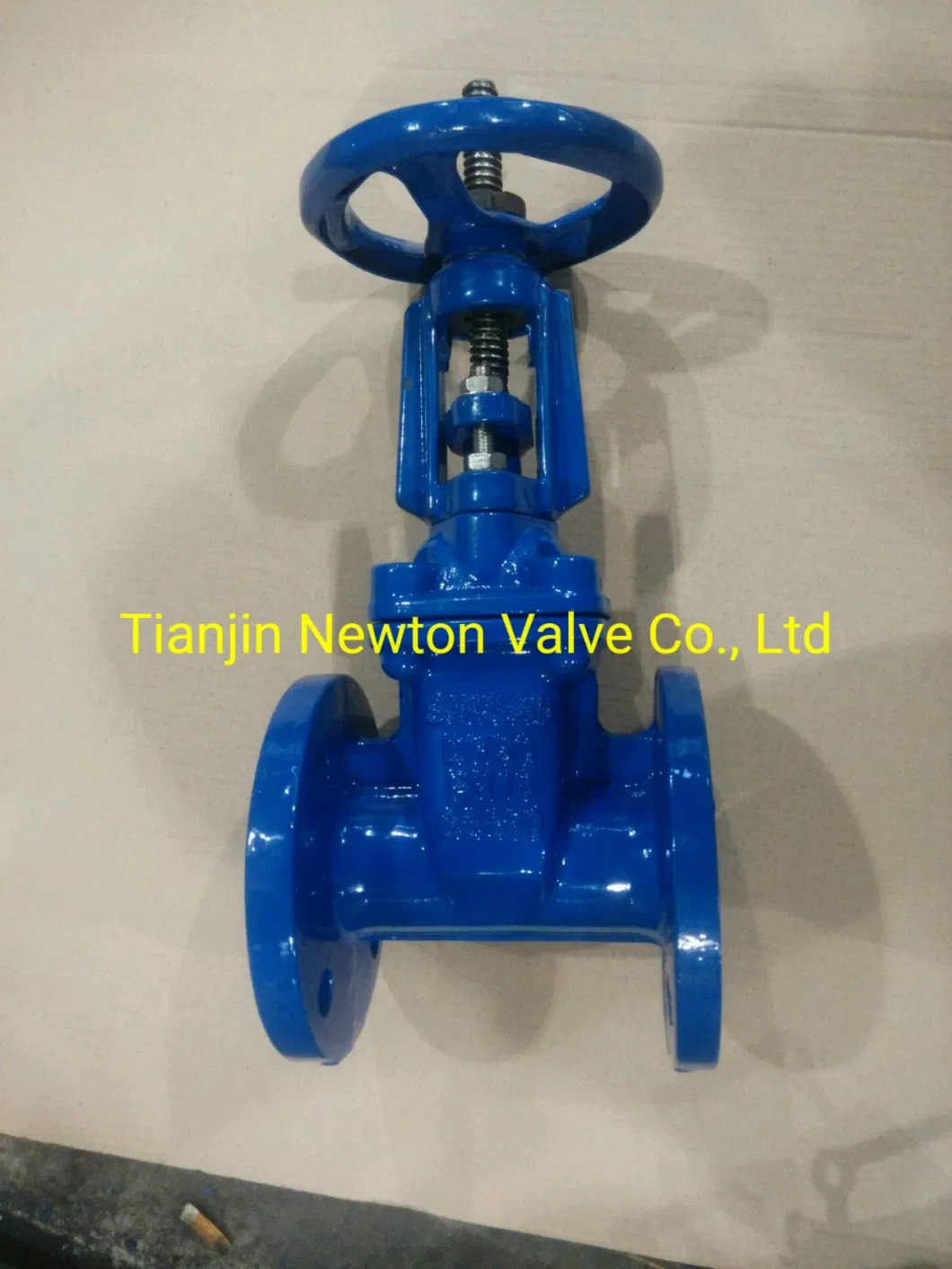 BS5150 BS5163 DIN3352 F4 F5 Awwa C515 C509 API600 API6d Ductile Cast Iron Rubber Coated Solid Wedge Gate Sluice Valve with Gearbox Operator Electric Actuator