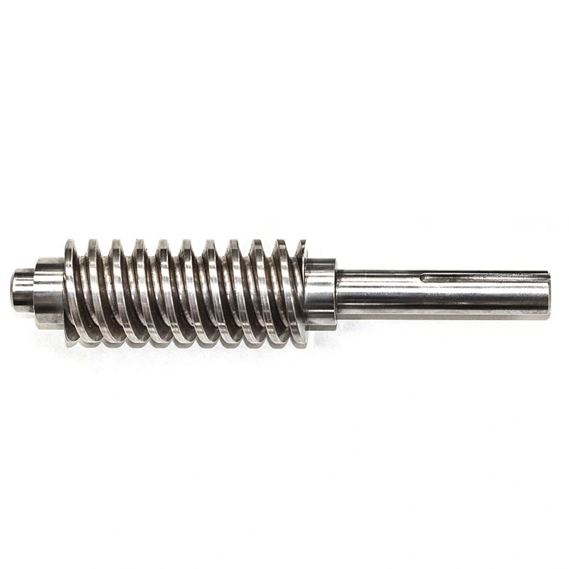 OEM High Precision Stainless Steel Transmission Worm Gear Shafts