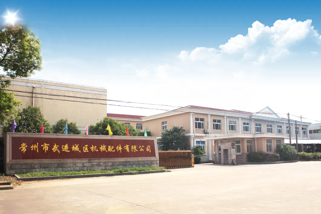 China Custom Worm Manufacturer Supplier Steel Gear Shaft