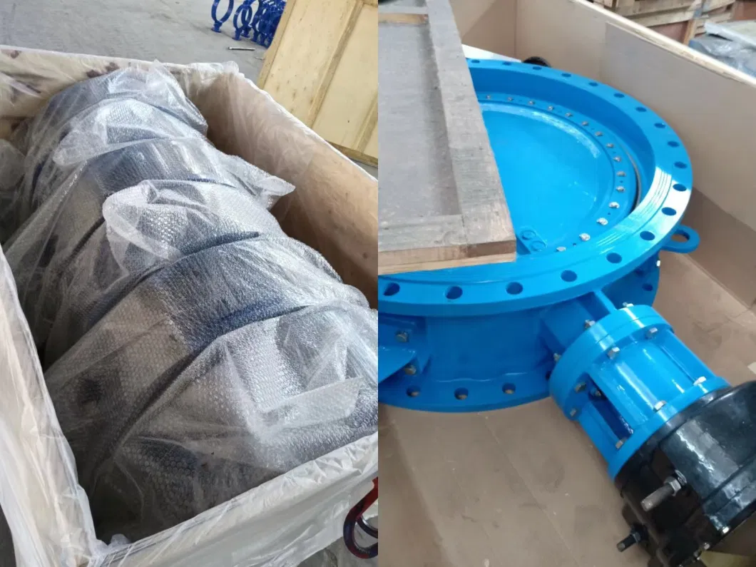 En593 A216 Wcb Wca Wcc Double Flanged Butterfly Valve NBR EPDM Rubber Seat for Marine and Industry