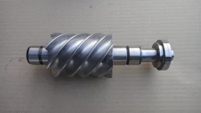 El eje de engranaje helicoidal de acero inoxidable con la norma ISO 9001 aprobado el eje de rueda dentada Worm