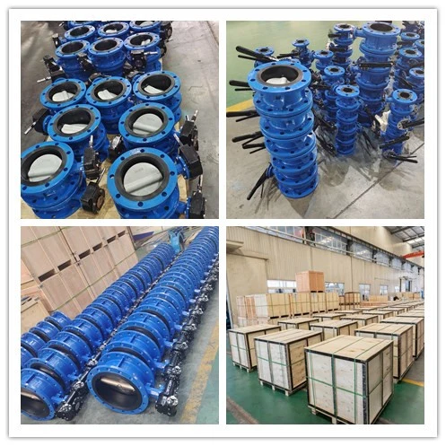 D341 Flange Resilient Seat Butterfly Valve with Gear Box