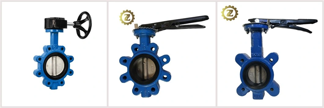 10 Lug Cryogenic Grooved Wafer Type Ci Actuated 4 Inch Italy Butterfly Valve