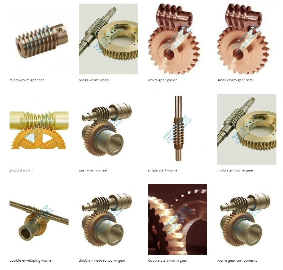 Customized Worm Gear Factory Manufacture High Precision Custom 304 316 Brass CNC Machining Parts Gears Wheel and Shaft Wormwheel