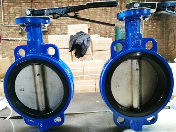 Ductile Iron Material Eccentric Double Flanged Butterfly Valve with Gear Box