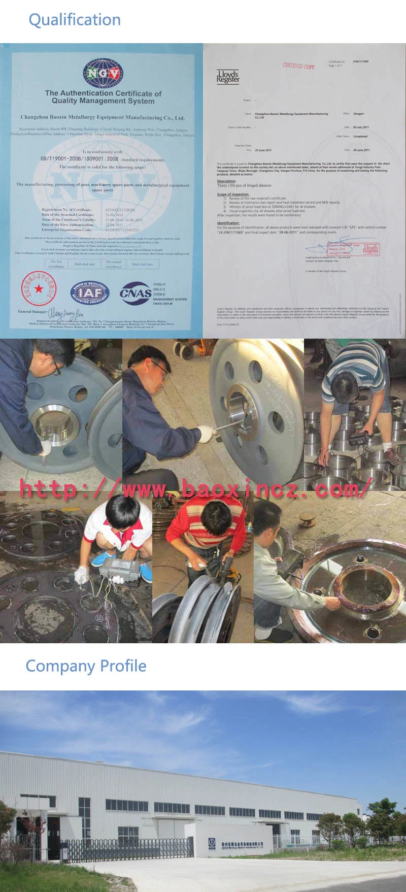 API Whole Forging Worm Alloy Rotary Table Gears