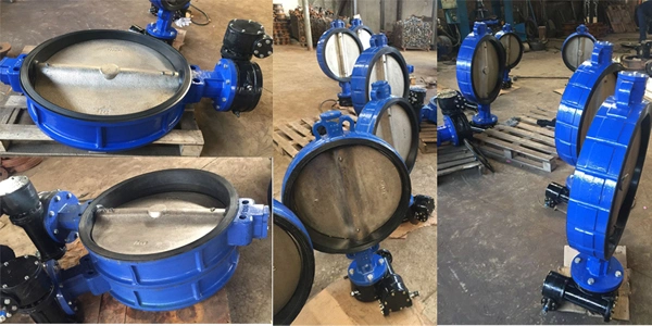 Ductile Iron Material Eccentric Double Flanged Butterfly Valve with Gear Box