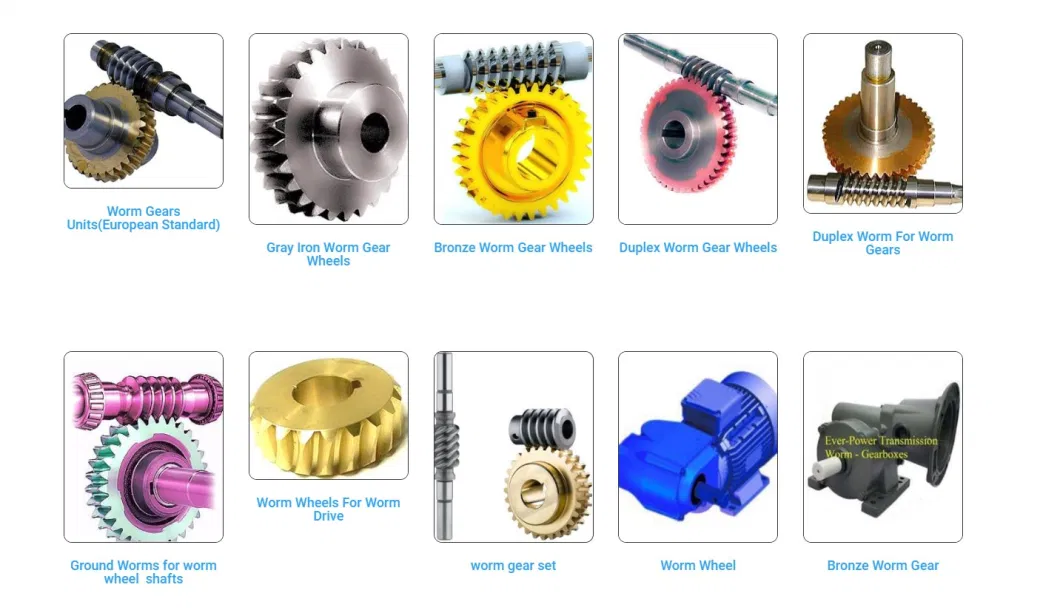 Plastic Worm Gear Screw Jack Wheel Machine Motor Gear Worm China Manufacturer Factory