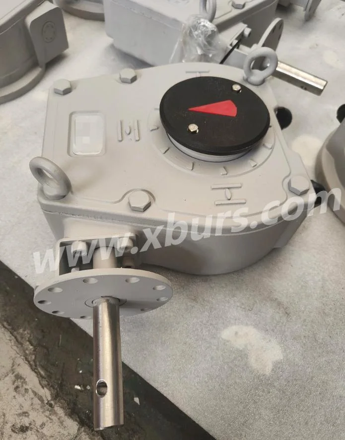 Xhw35s Worm Gear Operator for Valves
