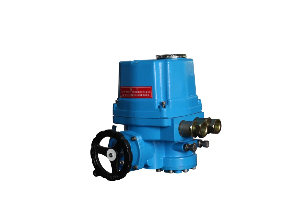 Qt Electric Actuator with Worm Gear and Worm Drive Mode