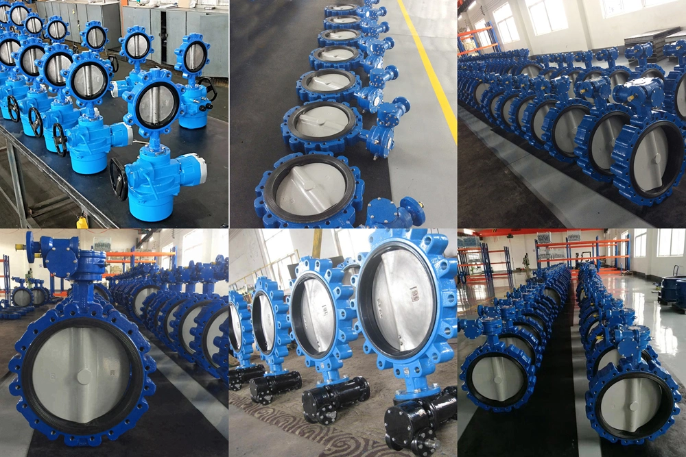 Actuated Motorized Cast Iron Ductile Iron Electric Lt Lug Type Butterfly Valve Pn10/Pn16