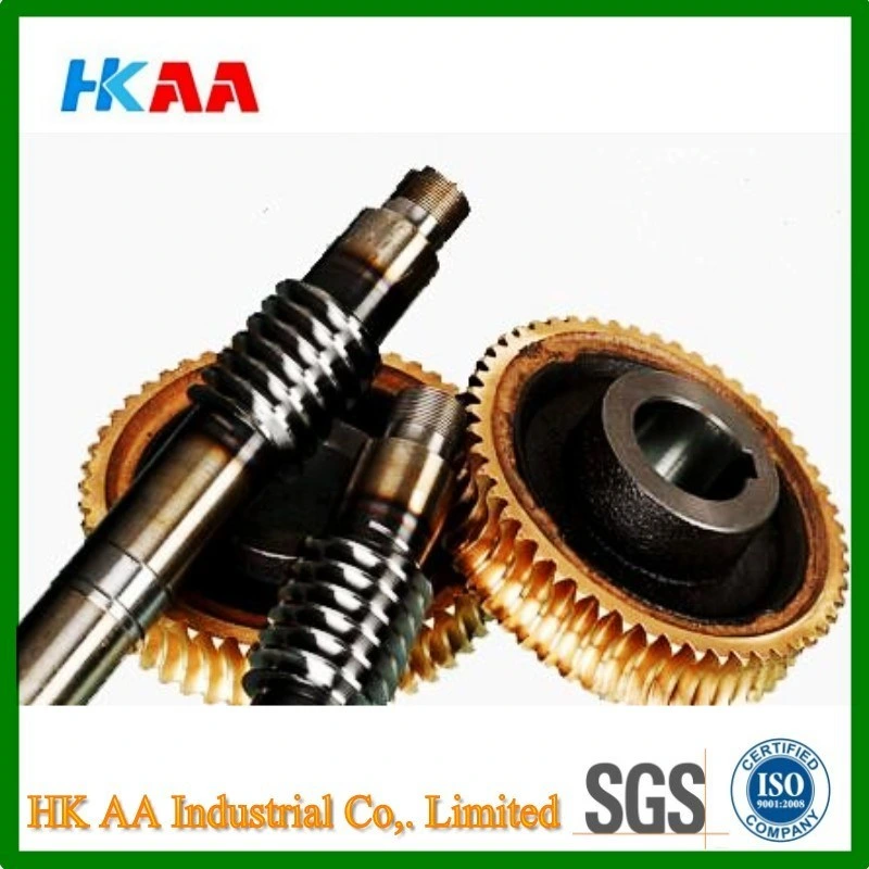 Stainless Steel Worm Shaft, Brass Worm Gear Made in China