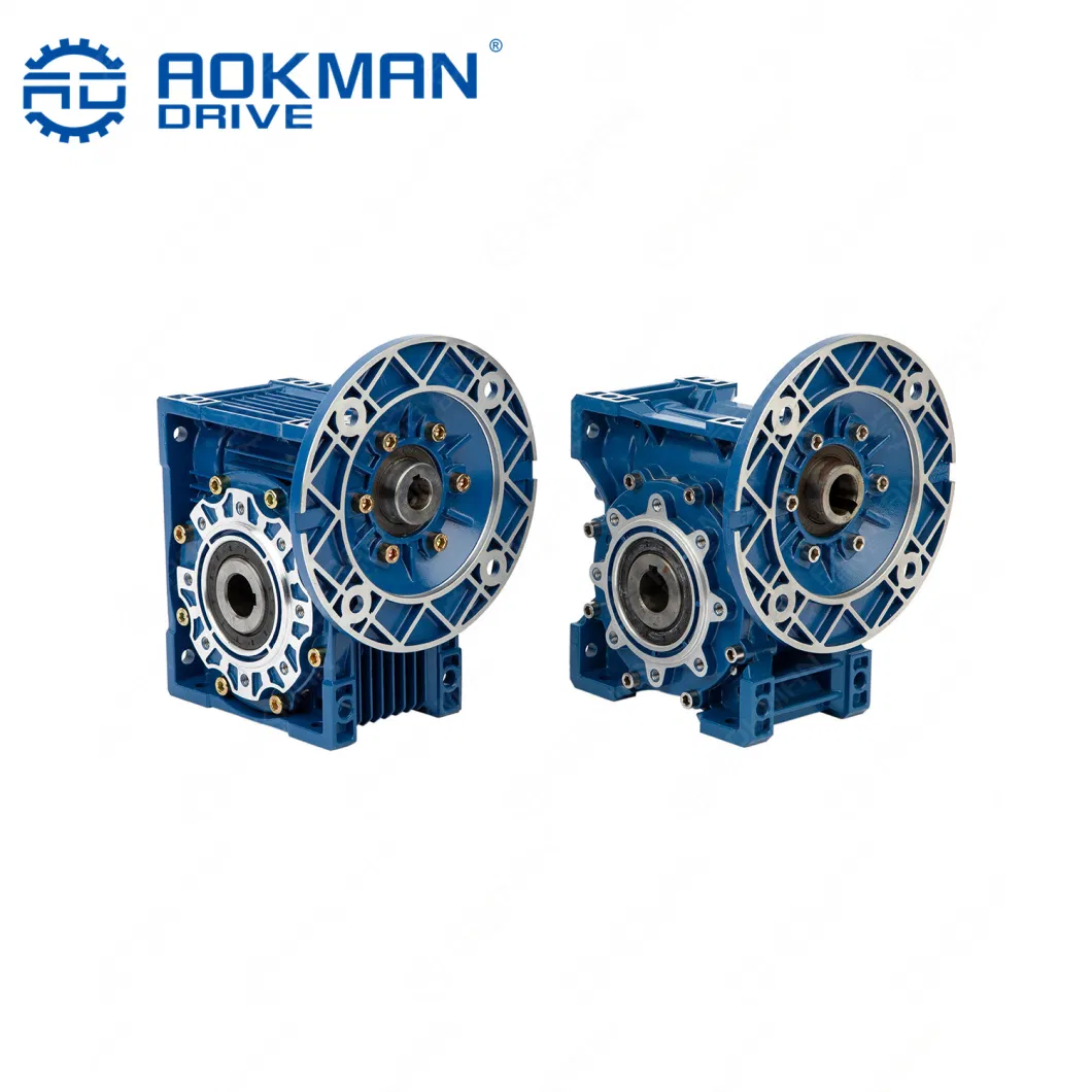 RV Worm Gear Box with Flange and Electric Motor