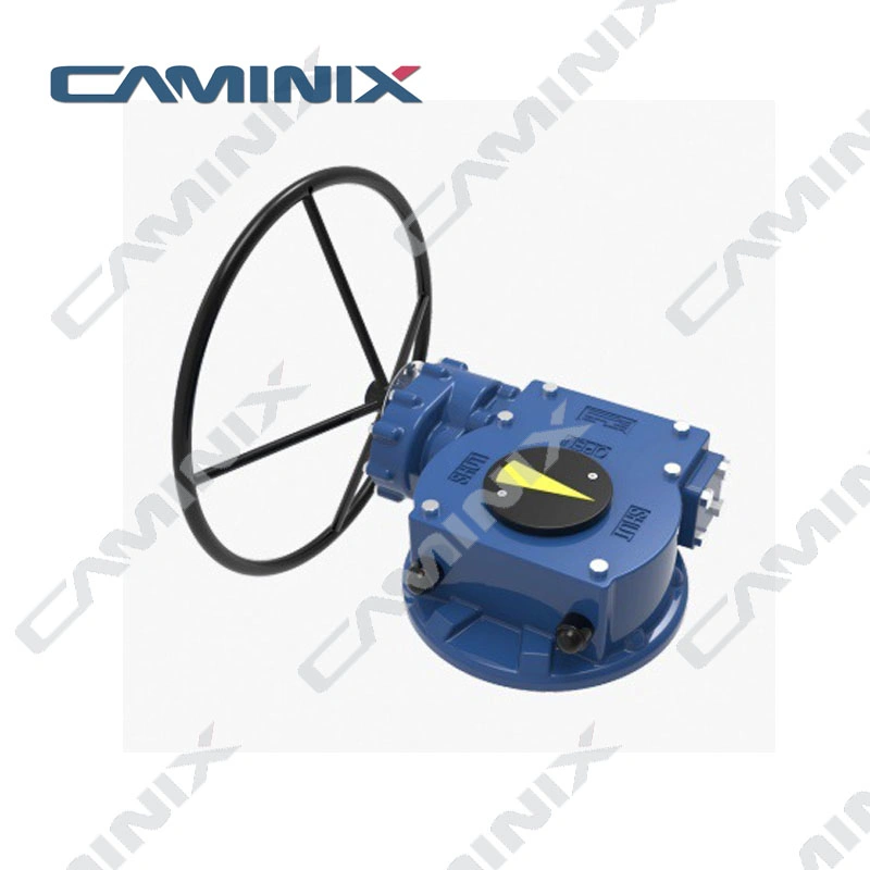 Butterfly Valve Gearbox Worm Gear Actuator Cms Caminix