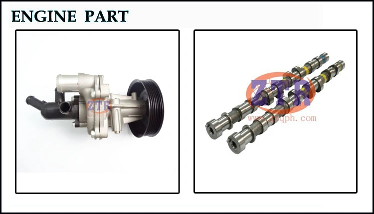 Auto Parts Starter Clutch Gear for Navara 23300-Eb70b