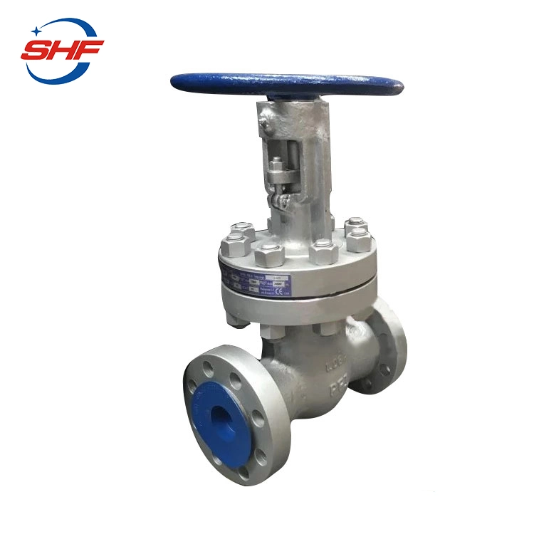 API600 Industrial Worm Gear Operated Flange OS and Y Wedge A216 Wcb Gate Valve with Prices